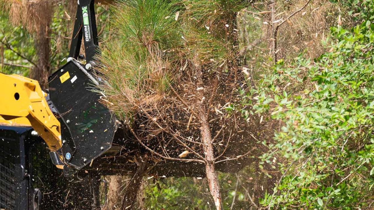 Mulcher Basics: 6 Common Types You Should Know